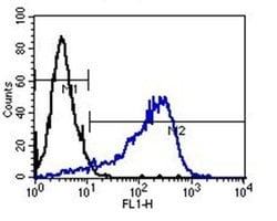 Invitrogen TRA-1-60 Monoclonal Antibody (TRA-1-60) 100 &mu;g; Unconjugated:Antibodies,