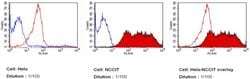 Invitrogen TRA-1-81 Monoclonal Antibody (TRA-1-81), DyLight 650 100 &mu;L | Buy Online | Invitrogen&trade; | Fisher Scientific