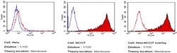 Invitrogen&trade;&nbsp;TRA-1-81 Monoclonal Antibody (TRA-1-81), PE