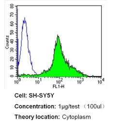 Invitrogen Nestin Monoclonal Antibody (10C2) 100 &mu;g; Unconjugated:Antibodies,