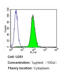 Invitrogen Nestin Monoclonal Antibody (10C2) 100 &mu;g; Unconjugated:Antibodies,
