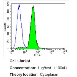 Invitrogen HMOX1 Monoclonal Antibody (HO-1-1) 200 &mu;g; Unconjugated:Antibodies,