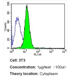 Invitrogen HMOX1 Monoclonal Antibody (HO-1-1) 200 &mu;g; Unconjugated:Antibodies,