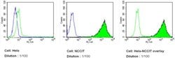 Invitrogen SSEA5 Monoclonal Antibody (8E11), DyLight 488 100 &mu;L; DyLight