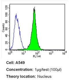 Ku70/Ku80 Monoclonal Antibody (162), Invitrogen 500 &mu;L; Unconjugated:Antibodies,