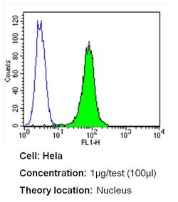 Ku70/Ku80 Monoclonal Antibody (162), Invitrogen 500 &mu;L; Unconjugated:Antibodies,