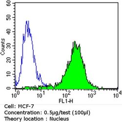 Ku70/Ku80 Monoclonal Antibody (162), Invitrogen 500 &mu;L; Unconjugated:Antibodies,