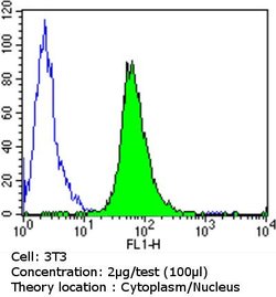 Invitrogen Glucocorticoid Receptor Monoclonal Antibody (BuGR2) 100 &mu;g;