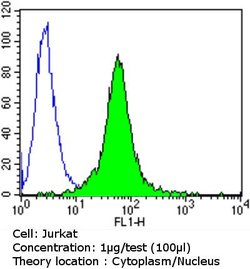 Invitrogen Glucocorticoid Receptor Monoclonal Antibody (BuGR2) 100 &mu;g;