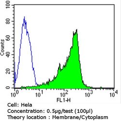 Invitrogen ErbB3 Monoclonal Antibody (RTJ2) 200 &mu;g; Unconjugated:Antibodies,