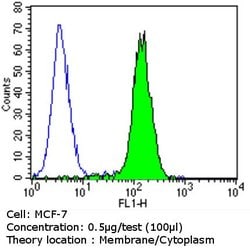 Invitrogen ErbB3 Monoclonal Antibody (RTJ2) 200 &mu;g; Unconjugated:Antibodies,