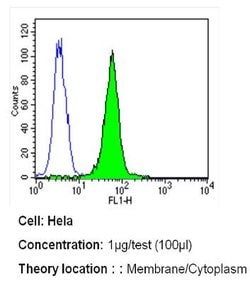 Invitrogen ErbB4 Monoclonal Antibody (HFR1) 200 &mu;g; Unconjugated:Antibodies,