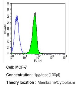 Invitrogen ErbB4 Monoclonal Antibody (HFR1) 200 &mu;g; Unconjugated:Antibodies,