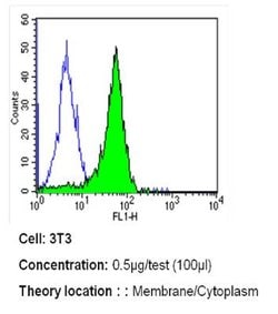 Invitrogen ErbB4 Monoclonal Antibody (HFR1) 200 &mu;g; Unconjugated:Antibodies,
