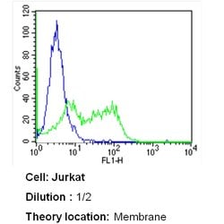 Invitrogen CD3e Monoclonal Antibody (SP7) 500 &mu;L; Unconjugated:Antibodies,
