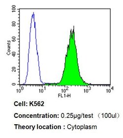 Invitrogen PDI Monoclonal Antibody (RL77) 100 &mu;L; Unconjugated:Antibodies,