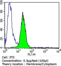 Invitrogen PDI Monoclonal Antibody (RL90) 100 &mu;L; Unconjugated:Antibodies,