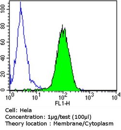 Invitrogen PDI Monoclonal Antibody (RL90) 100 &mu;L; Unconjugated:Antibodies,