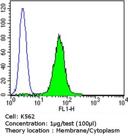 Invitrogen PDI Monoclonal Antibody (RL90) 100 &mu;L; Unconjugated:Antibodies,