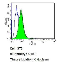 Invitrogen Cdc37 Monoclonal Antibody (C1) 100 &mu;L; Unconjugated:Antibodies,