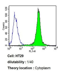 Invitrogen CYP3A7 Monoclonal Antibody (F19 P2 H2) 100 &mu;L; Unconjugated:Antibodies,