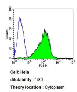 Invitrogen CYP3A7 Monoclonal Antibody (F19 P2 H2) 100 &mu;L; Unconjugated:Antibodies,