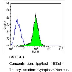 Invitrogen Importin beta-1 Monoclonal Antibody (3E9) 100 &mu;g; Unconjugated:Antibodies,