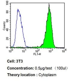 Invitrogen p23 Monoclonal Antibody (JJ3) 100 &mu;L; Unconjugated:Antibodies,