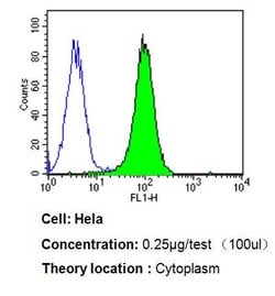 Invitrogen p23 Monoclonal Antibody (JJ3) 100 &mu;L; Unconjugated:Antibodies,