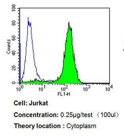 Invitrogen p23 Monoclonal Antibody (JJ3) 100 &mu;L; Unconjugated:Antibodies,
