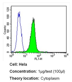 Invitrogen CRABP1 Monoclonal Antibody (C-1) 100 &mu;L; Unconjugated:Antibodies,