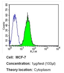 Invitrogen CRABP1 Monoclonal Antibody (C-1) 100 &mu;L; Unconjugated:Antibodies,