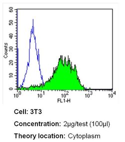 Invitrogen CRABP1 Monoclonal Antibody (C-1) 100 &mu;L; Unconjugated:Antibodies,