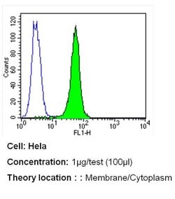 Invitrogen PMCA ATPase Monoclonal Antibody (5F10) 100 &mu;L; Unconjugated:Antibodies,