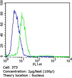 Rb Monoclonal Antibody (1F8 (Rb1)), Invitrogen 500 &mu;L; Unconjugated:Antibodies,