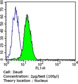 Rb Monoclonal Antibody (1F8 (Rb1)), Invitrogen 500 &mu;L; Unconjugated:Antibodies,