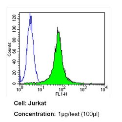 NOTCH1 Monoclonal Antibody (A6):Antibodies, Monoclonal