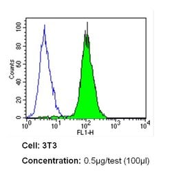 NOTCH1 Monoclonal Antibody (A6):Antibodies, Monoclonal