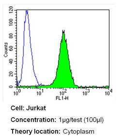 LCK Monoclonal Antibody (3A5), Invitrogen 500 &mu;L | Buy Online | Invitrogen | Fisher Scientific