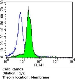 CD138 Monoclonal Antibody (MI15), Invitrogen 500 &mu;L; Unconjugated:Antibodies,