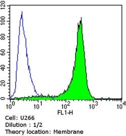 CD138 Monoclonal Antibody (MI15), Invitrogen 500 &mu;L; Unconjugated:Antibodies,