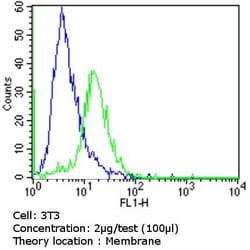 Invitrogen CD1a Monoclonal Antibody (O10) 500 &mu;L; Unconjugated:Antibodies,