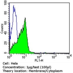 CD30 Monoclonal Antibody (CON6D/ C2), Invitrogen 500 &mu;L | Buy Online | Thermo Scientific | Fisher Scientific