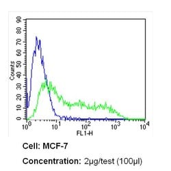 Invitrogen RPSA Monoclonal Antibody (MLuC5) 500 &mu;L; Unconjugated:Antibodies,