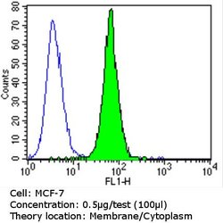 ErbB4 Monoclonal Antibody (H4.77.16 (Ab77)), Invitrogen 500 &mu;L; Unconjugated:Antibodies,