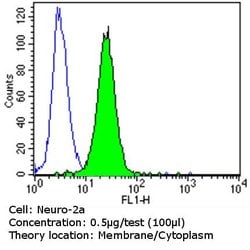 ErbB4 Monoclonal Antibody (H4.77.16 (Ab77)), Invitrogen 500 &mu;L; Unconjugated:Antibodies,