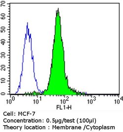 ErbB3 Monoclonal Antibody (H3.105.5 (Ab105)), Invitrogen 500 &mu;L; Unconjugated:Antibodies,