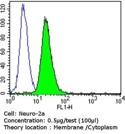 ErbB3 Monoclonal Antibody (H3.105.5 (Ab105)), Invitrogen 500 &mu;L; Unconjugated:Antibodies,