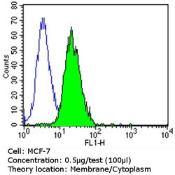 ErbB4 Monoclonal Antibody (H4.72.8 (Ab72)), Invitrogen 500 &mu;L; Unconjugated:Antibodies,