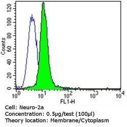 ErbB4 Monoclonal Antibody (H4.72.8 (Ab72)), Invitrogen 500 &mu;L; Unconjugated:Antibodies,